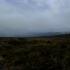 2012-01-15_11.30.01